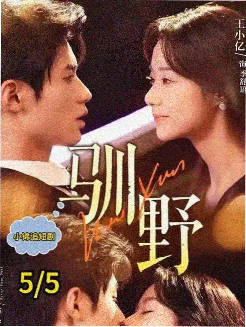 县城医生 全集电视剧免费看